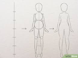 Using anatomical planes allows for accurate description of a location, and also allows the reader to understand what a diagram or picture is trying. 3 Easy Ways To Learn Anatomy For Drawing Wikihow