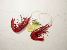 La pasta alfredo con camarones. This Giant Prawn Is The Best Seafood You Can Eat Says Ruth Reichl