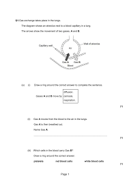 Q1 Gas Exchange Takes Place In The Lungs The Diagram Shows An