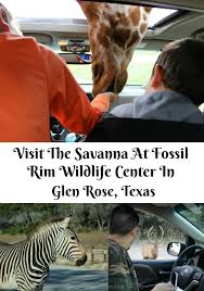 Glen Rose Is A Short Drive From Dallas Ft Worth You Will Love Seeing And Feeding All Sorts Of Animals At The Fossil R Glen Rose Road Trip With Kids Wildlife