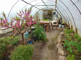 Permaculture Fruit Garden Fruit Garden Farm Gardens Plants