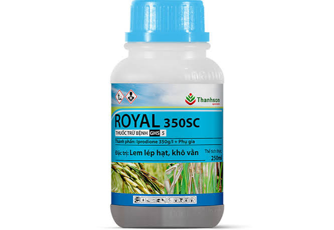 Royal 350SC
