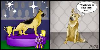 Georgia rapper 6 dogs, whose music inspired numerous fans in recent years, has died at the age of 21, according to multiple reports and tributes. Peta On Twitter Every Dog Bred Is A Shelter Dog Dead The Westminsterdogshow Promotes The Breeding Of Dogs While Millions Of Dogs Wait In Shelters For Homes Https T Co H2uxmlc7zn Wkcdogshow Westminsterweek Https T Co Ffpu0wsr5x