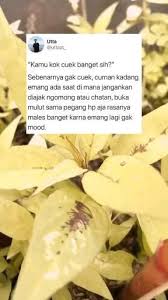 Video Pin Oleh Mamah Di Kata Kata Motivasi Di 2020 Lirik Lagu Kutipan Musik Buku Lagu