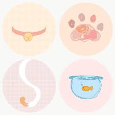 Cat Story Highlights Icon Set For Social Media Transparent Png Free Image By Rawpixel Com Mind In 2020 Icon Set Free Illustrations Cat Stories