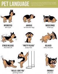 Know How Dog React Coolguide Dog Body Language Dog Language German Shepherd Puppies