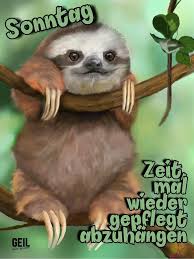 Pin Auf Spruche