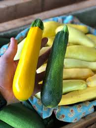 Also known as courgette, zucchini classically has a deep green skin and soft white flesh. Golden Zucchini Bild Von Me Mcgee Market North Little Rock Tripadvisor