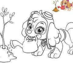 You can give them the original colors of the characters and let your coloringonly has got big collection of printable paw patrol coloring sheet for free to download, print and color in your free time. Paw Patrol Chase Happy Birthday Coloring Pages Cartoons Coloring Pages Free Printable Coloring Pages Online