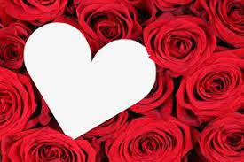 صور ورد وقلوب بوستات حب و رومانسية للفيس بوك islamic pictures rose flowers