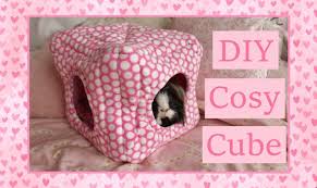 Pin On Best Guinea Pig Board