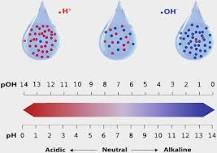 Image result