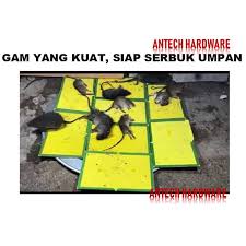 Jadi bagaimanakah caranya untuk menghalau haiwan perosak ini? Papan Gam Tikus Power Pasti Berkesan Perangkap Gam Tikus Rat Glue Board Shopee Malaysia