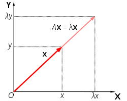 We know this equation must be true: Eigenvalues And Eigenvectors Wikipedia