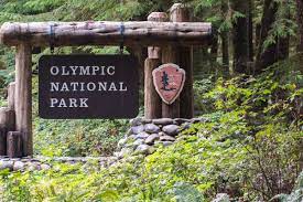 We have reviews of the best places to see in olympic national park. Wilde Strande Und Gruner Urwald Olympic Nationalpark Usa Travel More Babble Less