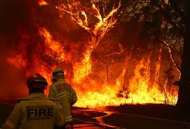 The dunns road fire crowning the top of a pine forest plantation near maragle in new south wales, australia, on friday.credit.matthew abbott for the new york times. Australia S Bushfires Made 30 More Likely By Climate Change University Of Oxford
