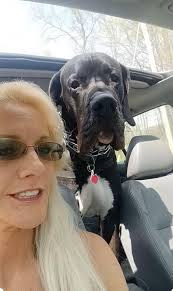 Here comes Little Buckeye! His dad said Little Buckeye is having some kind  of anal surgery