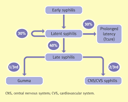 Image result for Cardiovascular Syphilis
