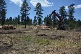 Pike-San Isabel National Forests & Cimarron and Comanche National  Grasslands