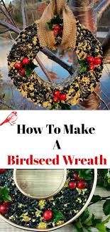 4.3 out of 5 stars 50. Homemade Birdseed Wreath Christmas Wreaths To Make Christmas Bird Bird Wreath