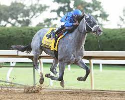 The ruler of dubai has spent a fortune pursuing. Essential Quality 2022 Kentucky Derby Oaks May 6 And May 7 2022