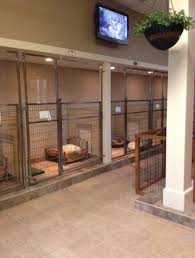 The dog is one of the two common pets in adopt me! 63 New Ideas Dogs Rescue Kennels Dog Boarding Kennels Indoor Dog Dog Kennel