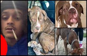 Colin Archer⚒️ 󠁧󠁢󠁥󠁮󠁧󠁿 (@Antiguamann)