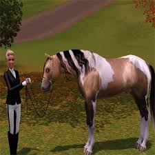 Buckskin paint horse gelding western by horsestockphotos. Beautiful Buckskin Paint By Rivernight135 The Exchange Community The Sims 3
