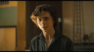 Movie reviews by reviewer type. Beautiful Boy Review Timothee Chalamet And Steve Carell Drug Drama Indiewire