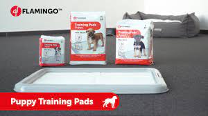 Puppy Training Pads Flamingo Pet Products Youtube