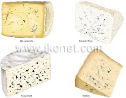 The Classification Of Cheeses Visual Dictionary