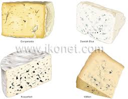 the classification of cheeses visual dictionary