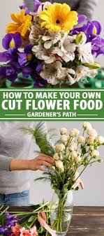 I am going to buy them from trader joe's on thursday night and make everything friday morning for a weddign. How To Make Your Own Fresh Cut Flower Food Gardener S Path