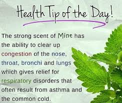 Having a purpose in life gives you a fixed point in the horizon to focus on, so that you can remain steady amid life's vicissitudes and challenges. Daily Health Tips On Twitter Health Tip Of The Day Health Tips Mint Http T Co Nroaydoiyi