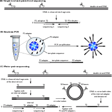 Dna Sequencing Wikipedia