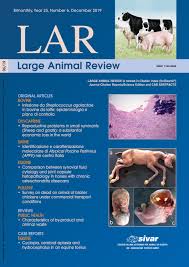 Ketama126, side baby, franco126 eccomi con il video di un altro testo di una canzone contenita. Large Animal Review Year 25 Number 6 December 2019 By E V Soc Cons A R L Issuu
