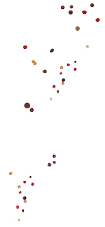 Syarikat sdn bhd, perkataan yang selalu dikaitkan dengan jenis perniagaan yang banyak ditubuhkan. Adabi Consumer Industries Sdn Bhd Contact Us Adabi