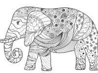 Hewan gajah merupakan mamalia menyusui terbesar di darat yang masih ada hingga saat ini. Mewarnai Gajah Anak Tk Belajarmewarnai Info