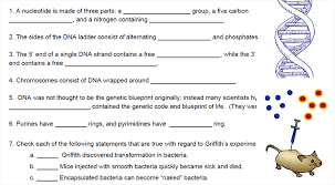 Worksheet that describes the structure of dna, students color the model according to instructions. Reinforcement Dna