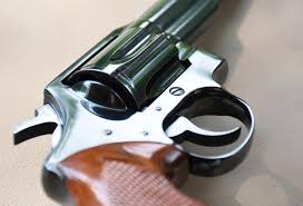 Image result for Warm White 1977 Colt