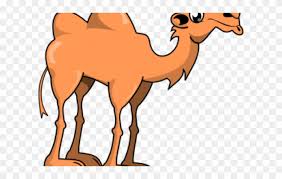 Download and use 6,000+ orange stock photos for free. Camels Clipart Kawaii Camel Clipart Png Download 1561296 Pinclipart