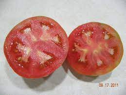 Cut out the white part and enjoy them. Tomato Fruit Problems