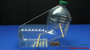 Make a wasp trap out of a soda bottle with this easy diy solution. How To Make A Water Bottle Mouse Rat Trap Easy Diy Youtube