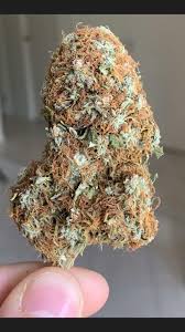 Titles granted under the offshore petroleum and greenhouse gas storage act 2006 (opggsa06) are administered by the national offshore petroleum titles administrator (nopta). Red Hair Must Be Pgr Imgur