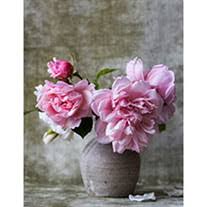 Gregory adrian hack, the son of cornelius q. Barbara Kelly Obituary Visitation Funeral Information