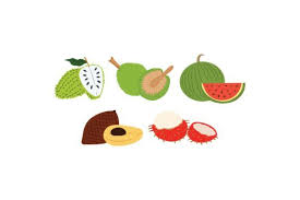Fruit Colour Graphic Illustration Set Graphic By Printablesplazza Creative Fabrica Graphic Illustration Graphic Illustration