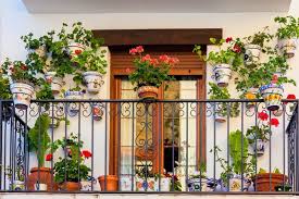 Website कैसे बनाये website बनाने का तरीका. 19 Ways To Make A Garden In Your House