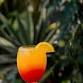 Taste of the Tropics with Flora and Steel Drums