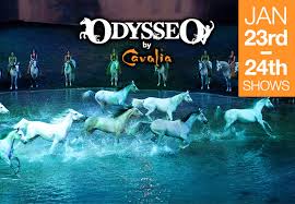 admission to odysseo by cavalia orange gold or vip tax