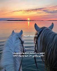 pin by 𝐴7𝐻𝑀𝐸𝐷 on اشعار وحركات beautiful arabic words islamic quotes wallpaper beautiful horses